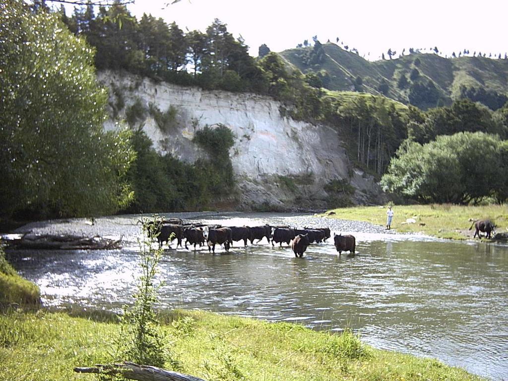 Earthsounds Country Cottage Taumarunui Exterior photo